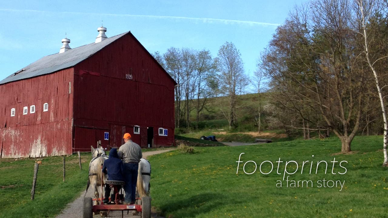 Footprints | A Farm Story | WV Videographer